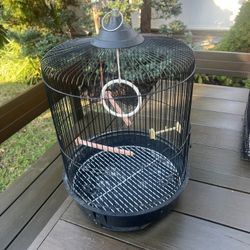 Bird Cage