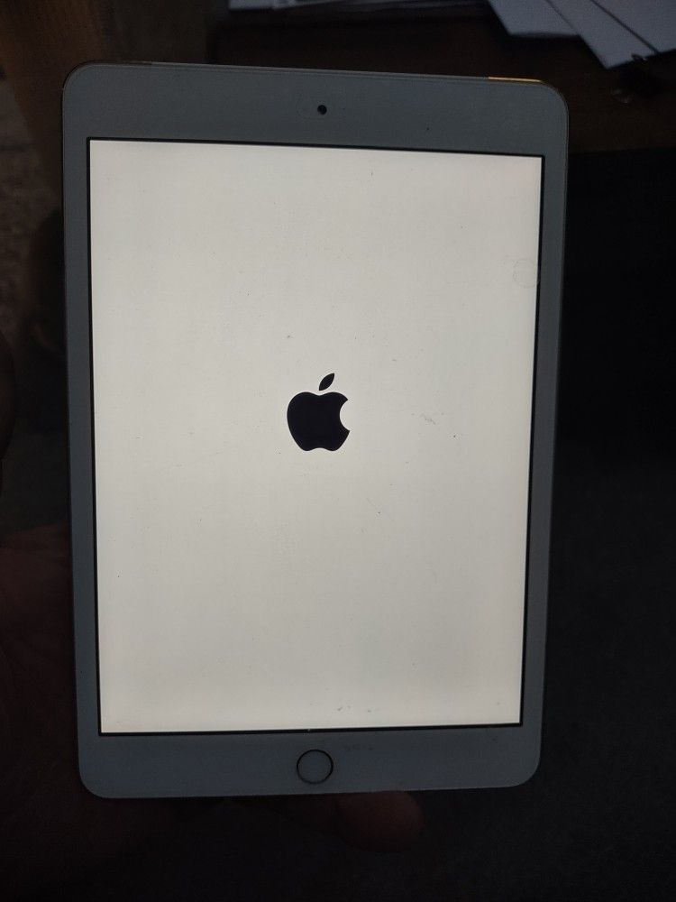 iPad Mini 3