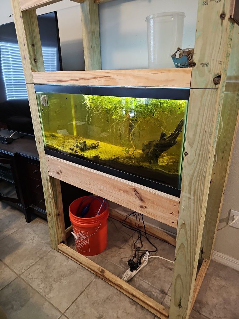 40 Gallon Breeder Fishtank