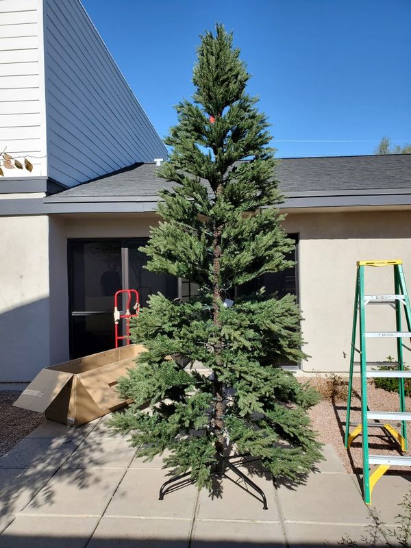 12ft Jackson Noble Fir 2000 micro dot LED prelit Christmas trees for