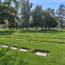 2 X Double Depth Plots In Live Oak Memorial Park 