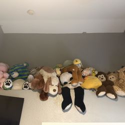 Stuffed Toys 