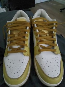 Nike dunks size 12
