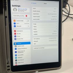 iPad 9th Generation 256gb