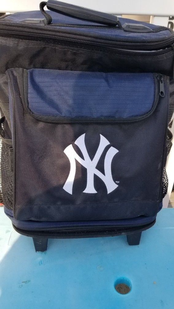 Ice Cooler Bag