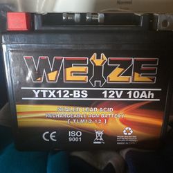 WEZE 12 Volt Battery 