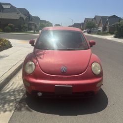 Beetle  For Sale