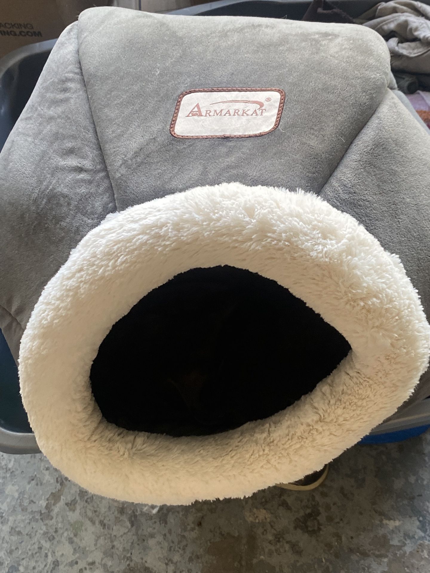 New Cat Bed