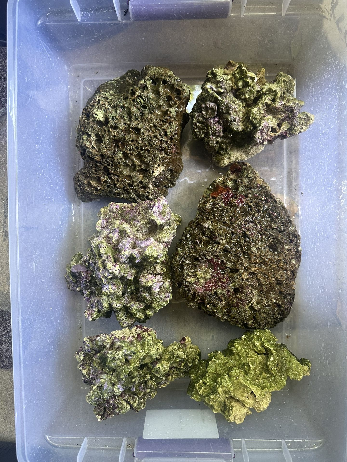 Live Rock 34lbs