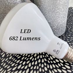 LED Damp Location Bulbs Buy 10 for $15