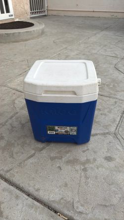 Lunch box , igloo brand small cooler, $5