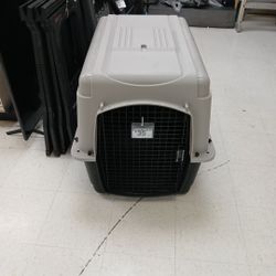 Dog Case