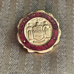 New York Coney Island Service Pin Crest State Of New York Badge