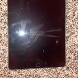 Apple iPad