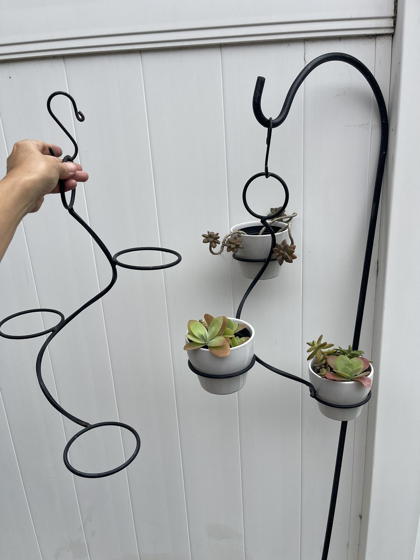 3 Ceramic Pots With Succulents Plants And Hangers