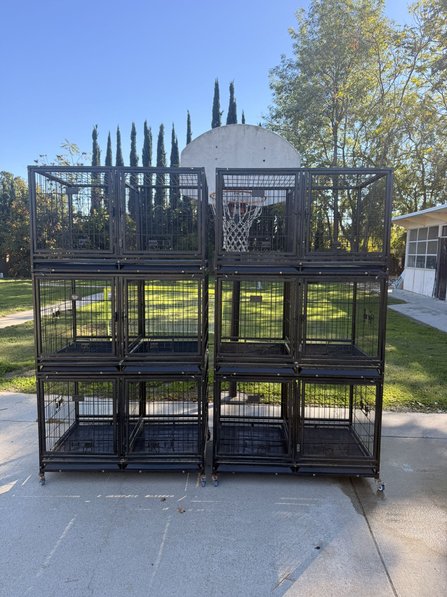 Cage . Dog Cage . Dog Crate . Crates . Cages . Cages . Kennel . Kennels . Dog Crates . Dog Crate . Puppy . Puppies . Dachshund . Frenchies . 