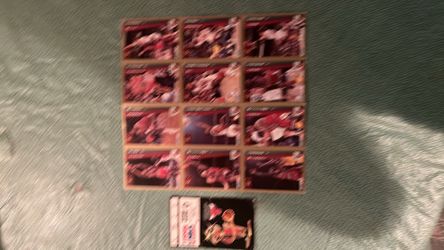 Chicago Bulls 1995 memorabiale