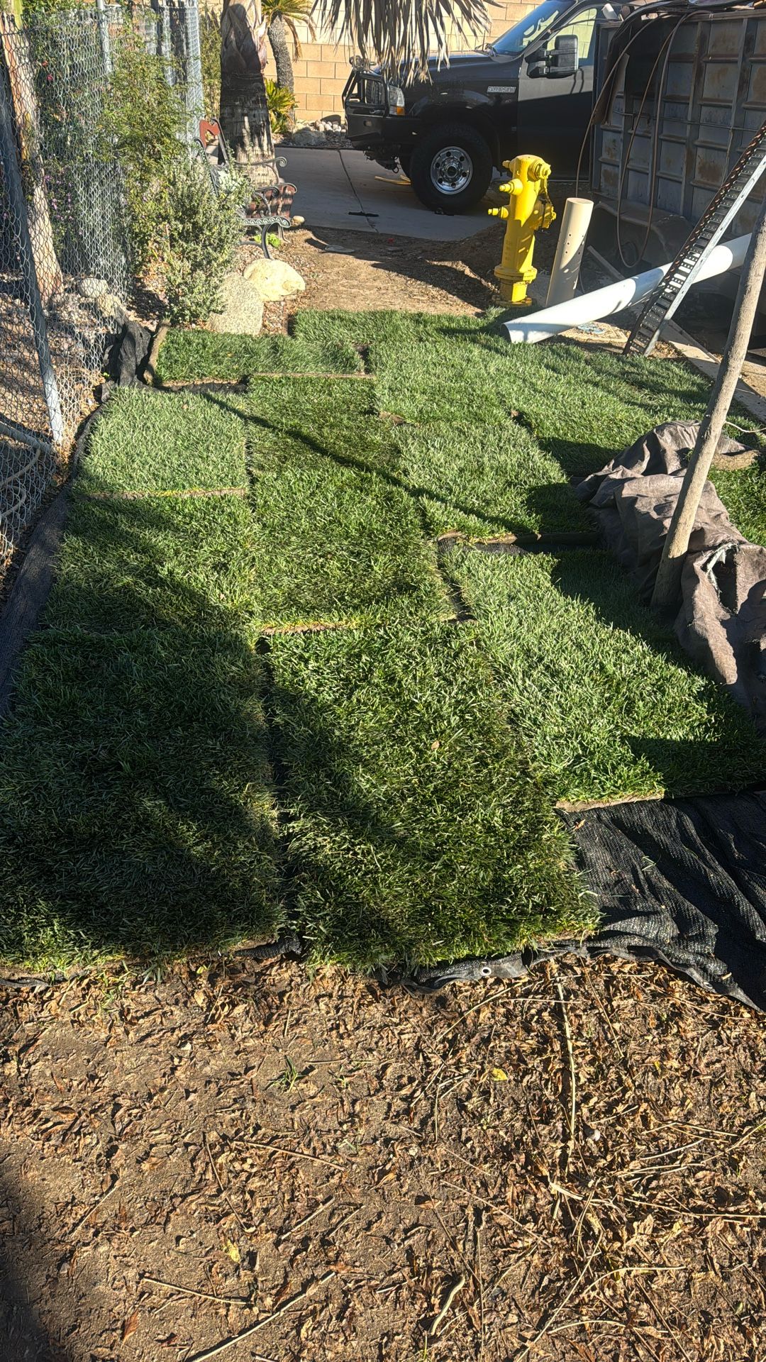 Sod/grass
