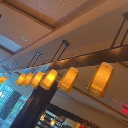 Restaurants  Light  