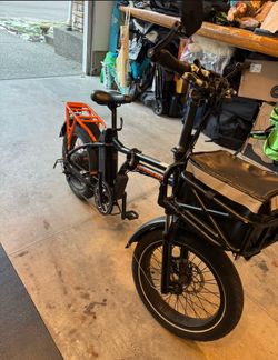 Rad mini 4 electric bike