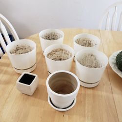 Pots