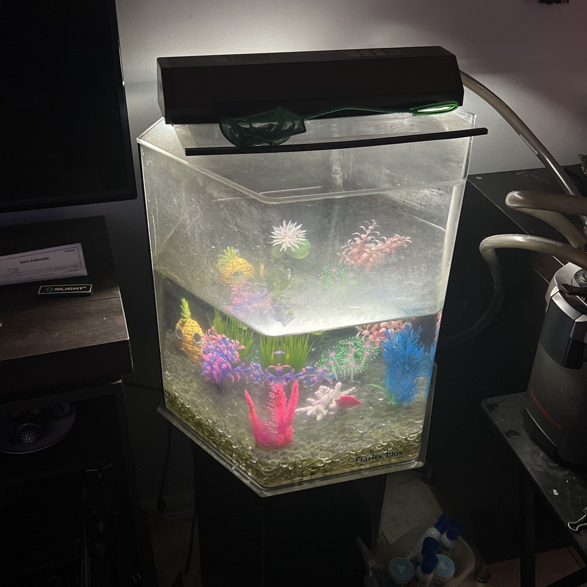 Fish Tank