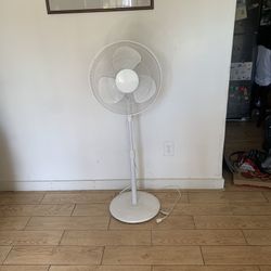 Fan 