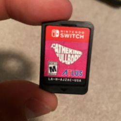 Nintendo Switch Game