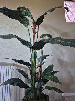 Artificial bird of paradise