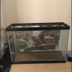 13g Fish Tank 