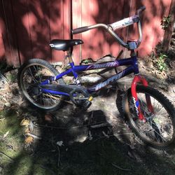 Nice 20 Inch Bmx Bike Only $30