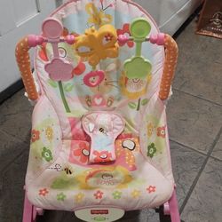 Baby Rocker Convertible Toddler Chair