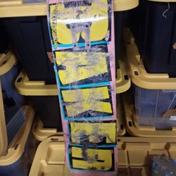 Baker Skateboard Used