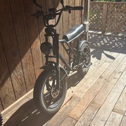 E Bike