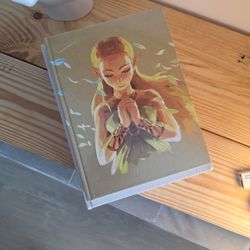 Zelda Breath Of The Wild Guide SEALED!