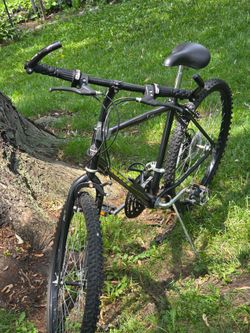 Puffy men's bike