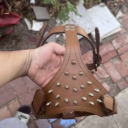 Dog Leather Spiked Vest 