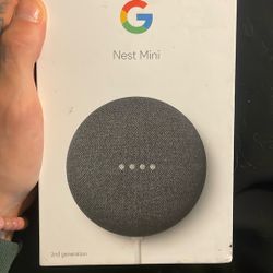 Google Nest Mini