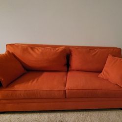 Couch/Sofa