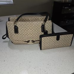 Madison Small Madeline East/West Satchel Bag with Wallet