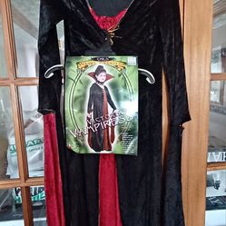 Victorian Princess Halloween Costume Size 12/14
