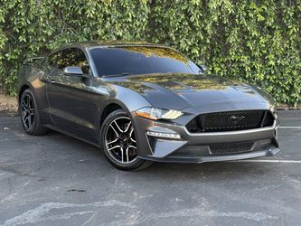 2019 Ford Mustang