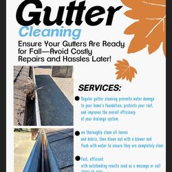 Gutter Cleaning Local Affordable 
