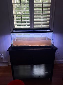 20 gallon long aquarium with stand.