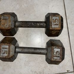 15 Lbs Dumbbells 