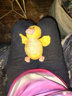 Scrubby Buddies "Webster" Rare & Retired