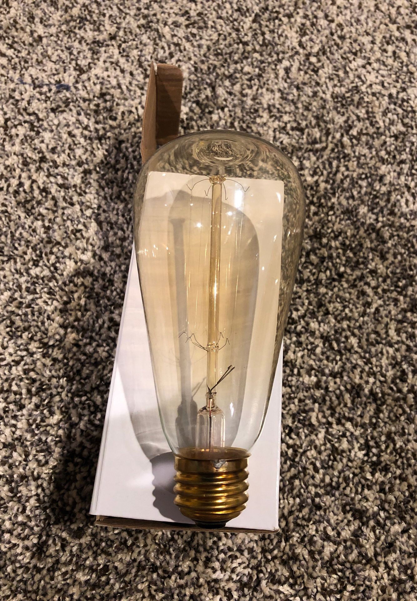60 watt 120 volt Edison light bulb