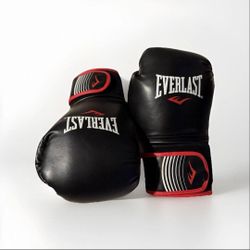 Everlast boxing gloves