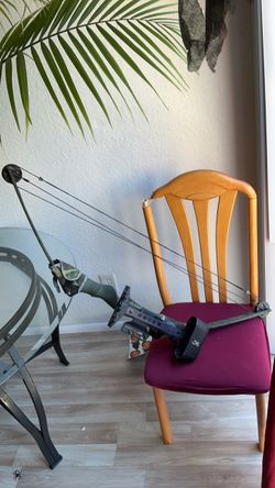 Compound Bow