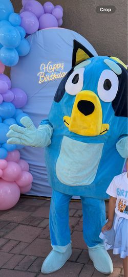 Bluey costume